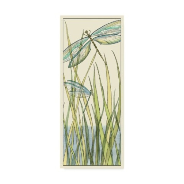 Trademark Fine Art Chariklia Zarris 'Gossamer Dragonflies I' Canvas Art, 10x24 WAG00859-C1024GG